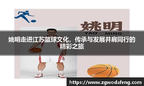 IM电竞官网