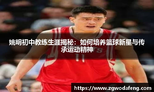 IM电竞平台