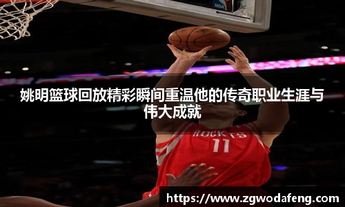 IM电竞官方网站