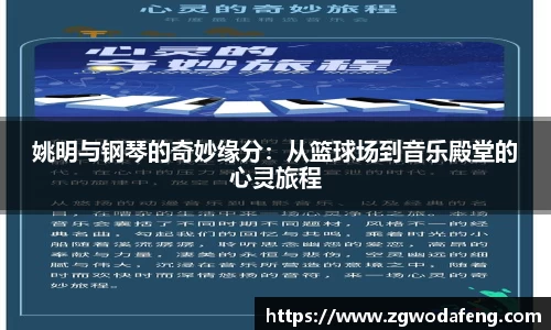 IM电竞官网