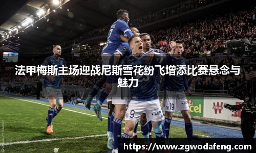 IM电竞官网