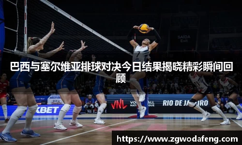 IM电竞官网